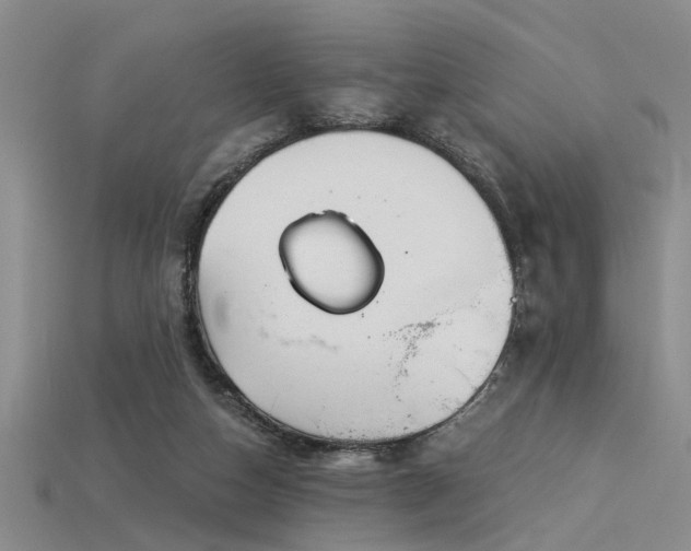 X0000115850162200911131559