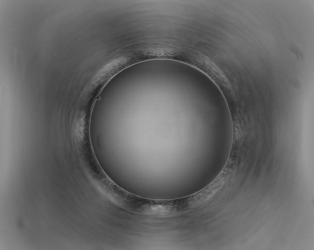 X0000115850163200911131559