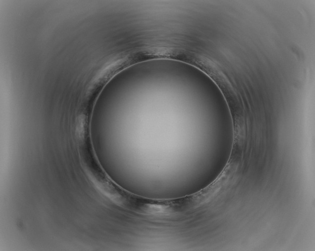 X0000115850167200911131559