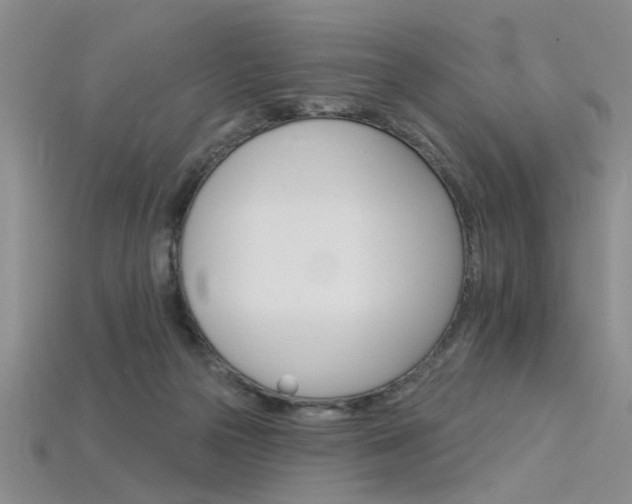 X0000115850169200911131559