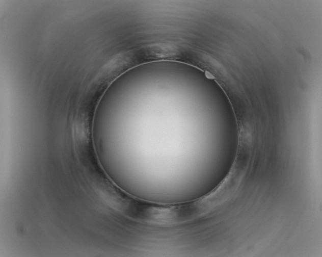 X0000115850170200911131559
