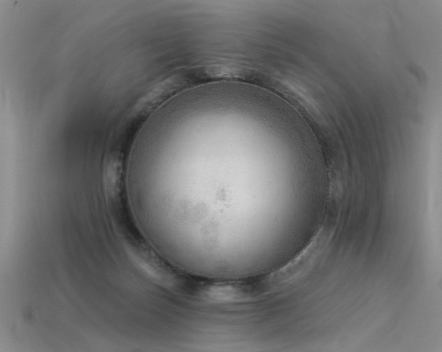 X0000115850171200911131559