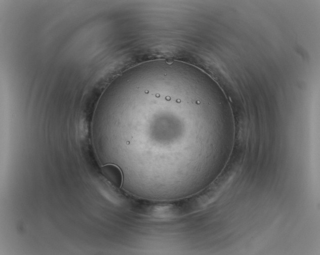 X0000115850173200911131559