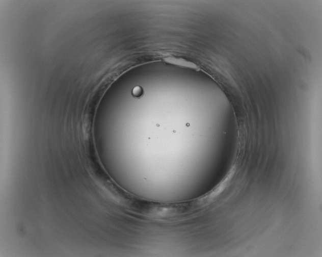 X0000115850174200911131559