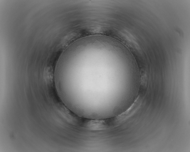 X0000115850179200911131559