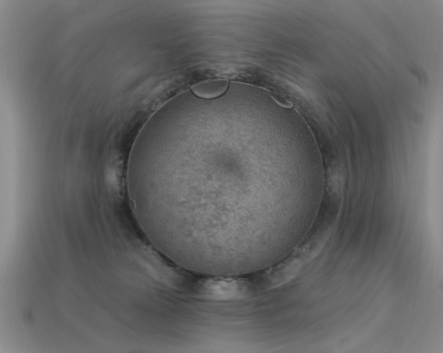 X0000115850181200911131559