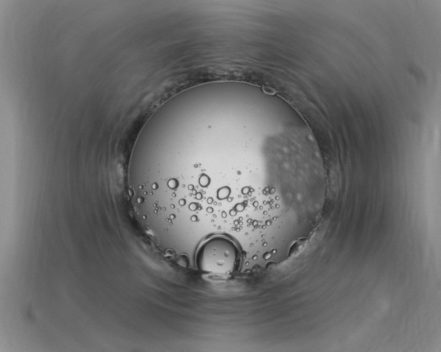X0000115850183200911131559