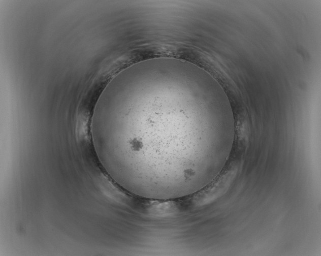 X0000115850185200911131559