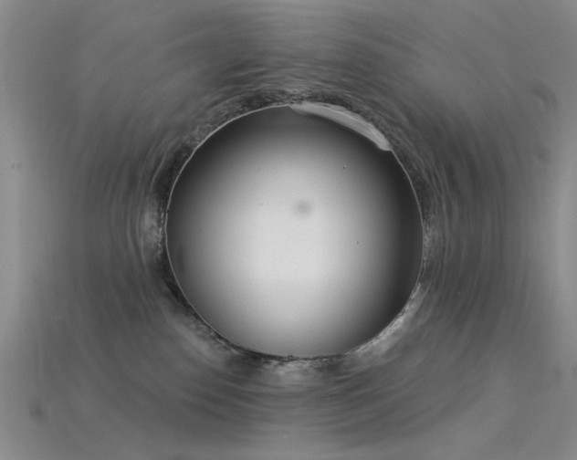 X0000115850186200911131559