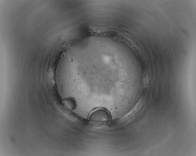 X0000115850187200911131559