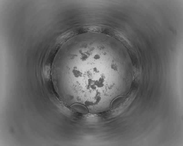 X0000115850189200911131559