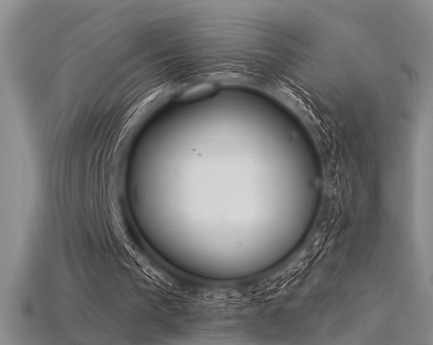 X0000115850193200911131558