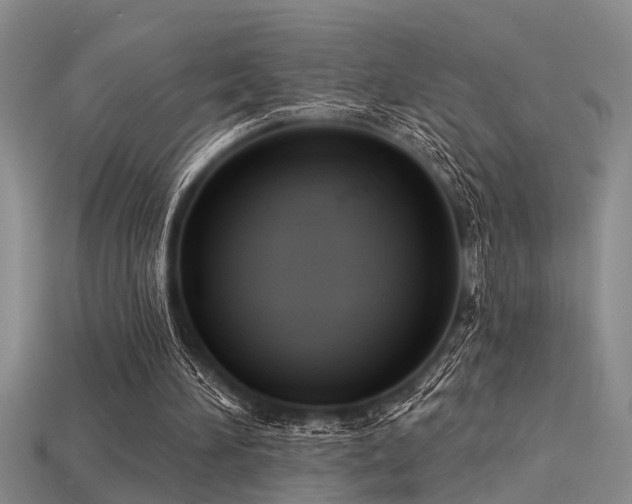 X0000115850196200911131558