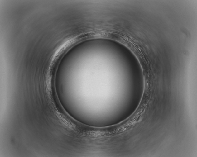 X0000115850197200911131558