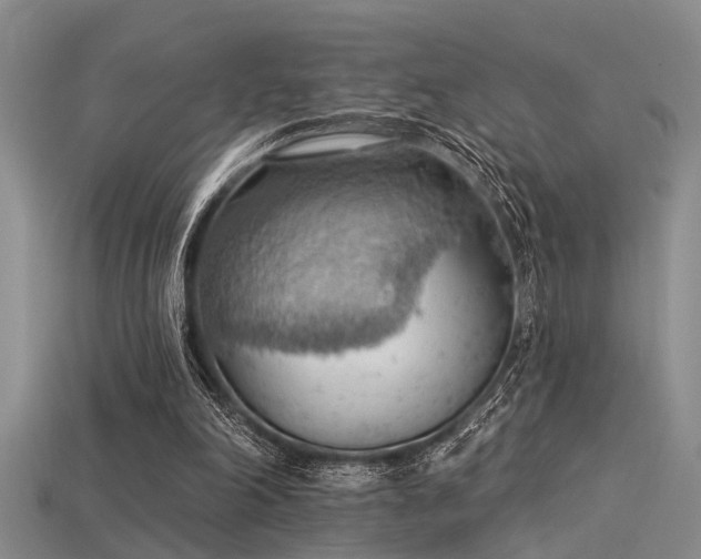 X0000115850198200911131558