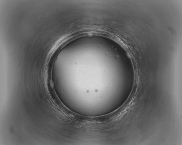 X0000115850199200911131558