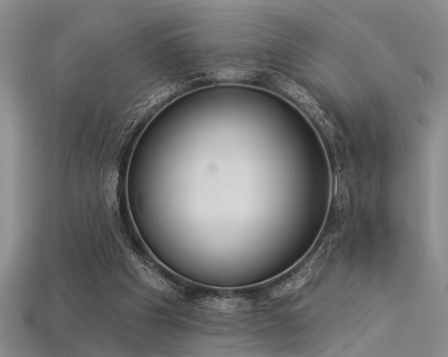 X0000115850201200911131558