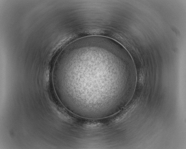 X0000115850206200911131558