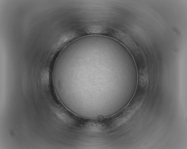 X0000115850207200911131558