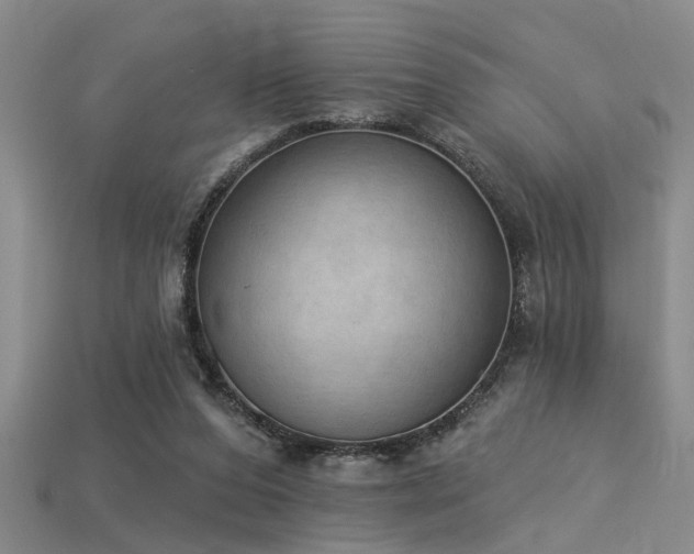 X0000115850208200911131558