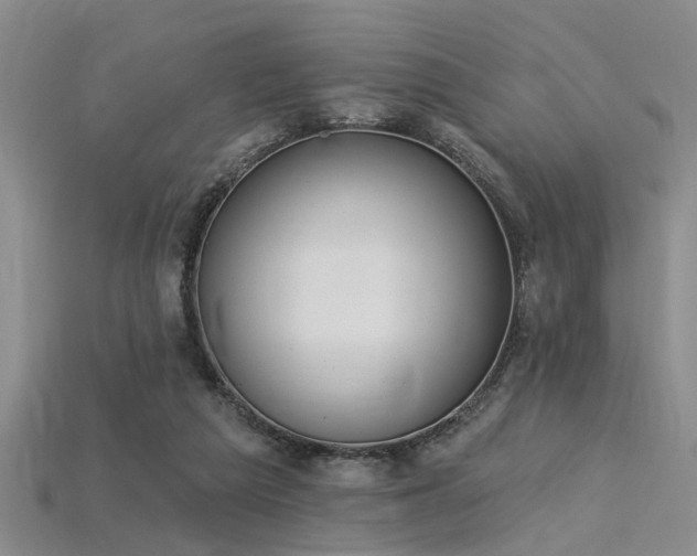 X0000115850209200911131558