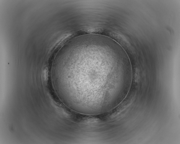 X0000115850210200911131558