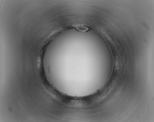 X0000115850211200911131558
