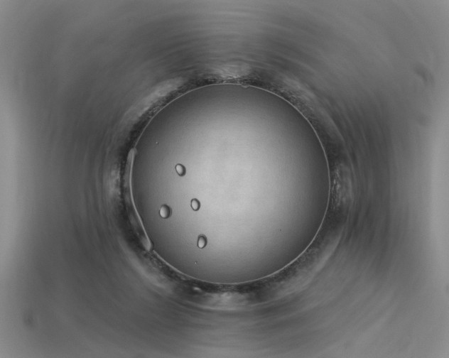 X0000115850212200911131558