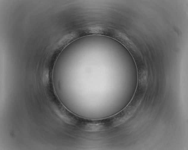 X0000115850213200911131558