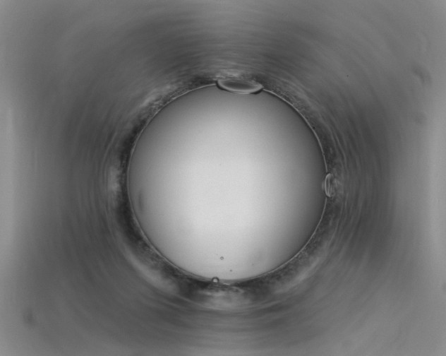 X0000115850215200911131558