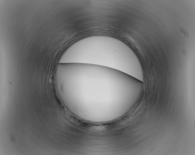 X0000115850217200911131558