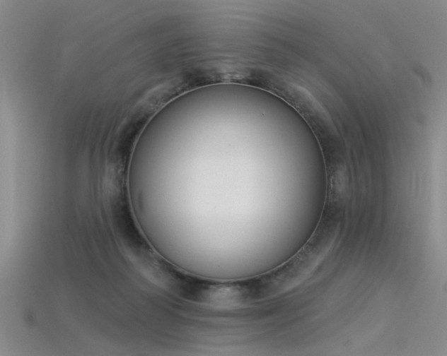 X0000115850218200911131558