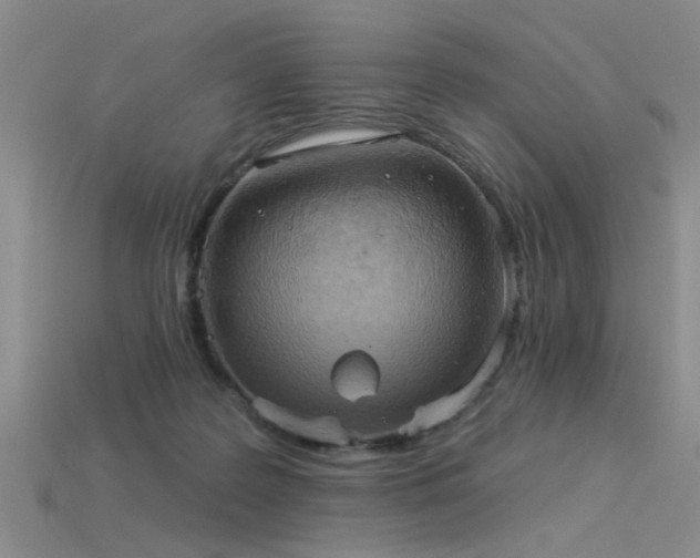 X0000115850219200911131558
