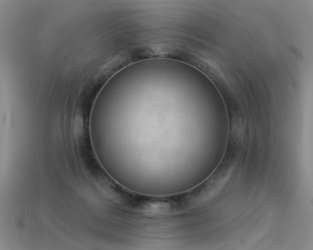X0000115850220200911131558