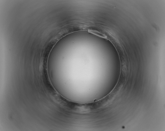 X0000115850221200911131558