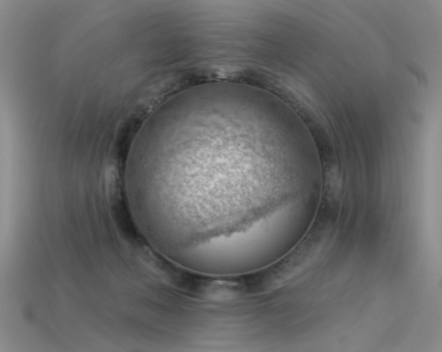 X0000115850222200911131558