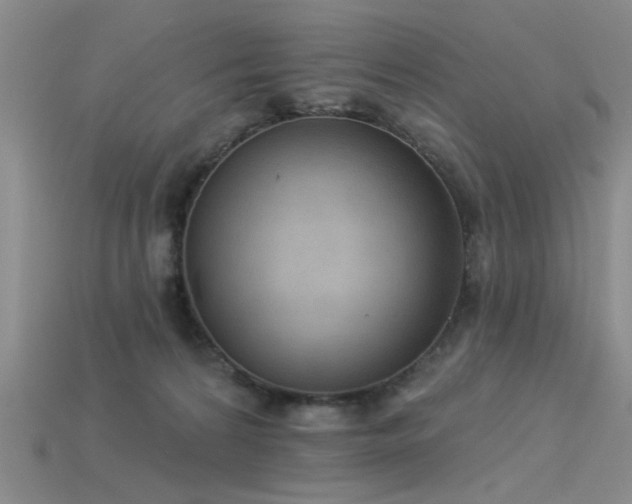 X0000115850224200911131558