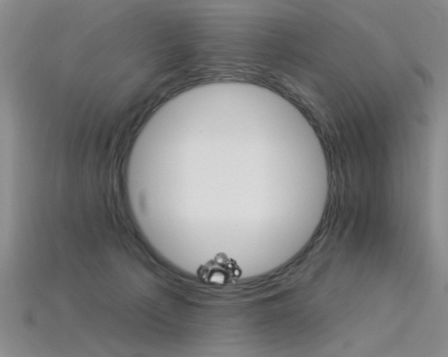 X0000115850225200911131558