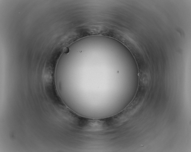 X0000115850226200911131558
