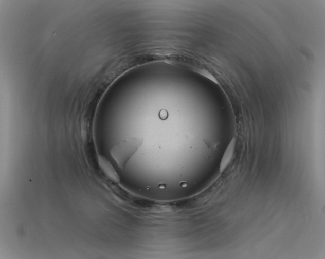 X0000115850227200911131558