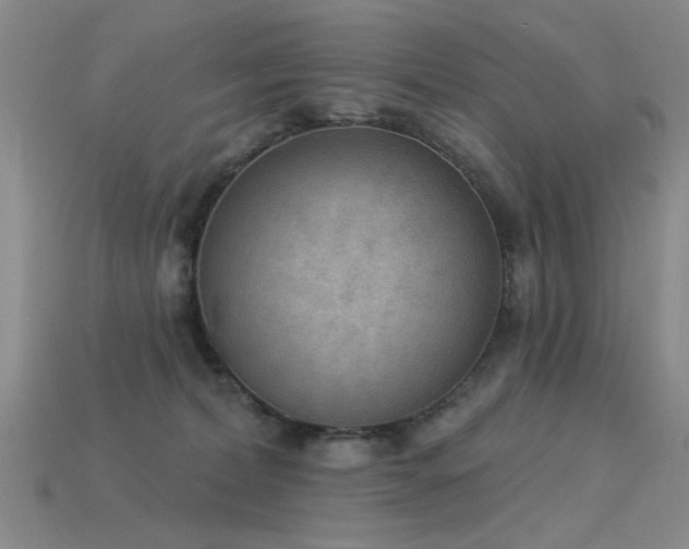 X0000115850228200911131558