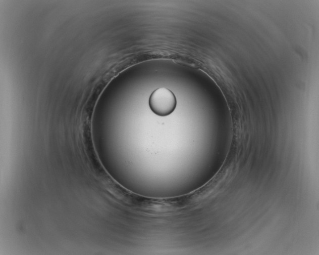 X0000115850229200911131558