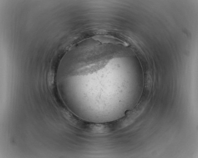 X0000115850230200911131558
