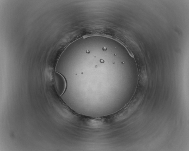 X0000115850232200911131558