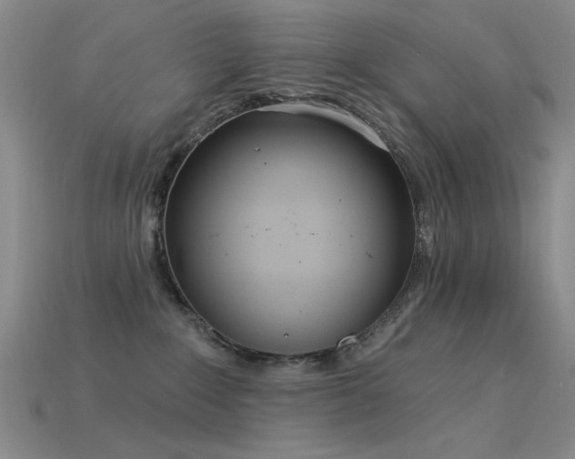 X0000115850235200911131558