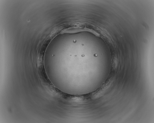 X0000115850236200911131558
