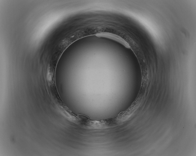 X0000115850239200911131558