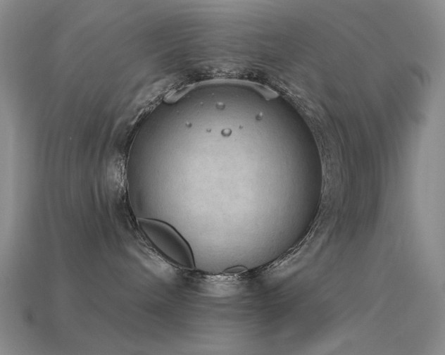 X0000115850240200911131558