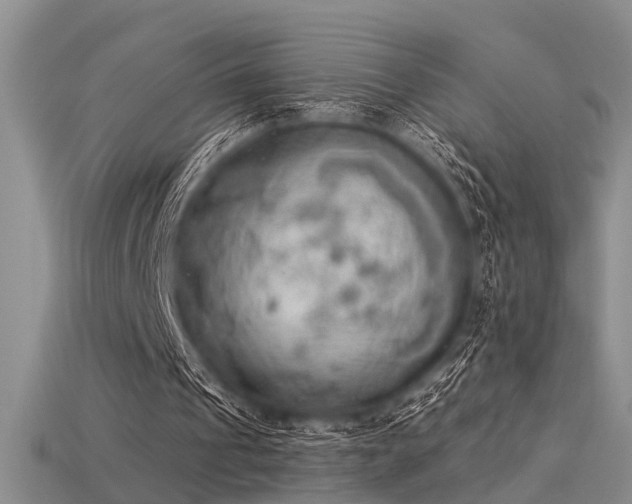 X0000115850241200911131557