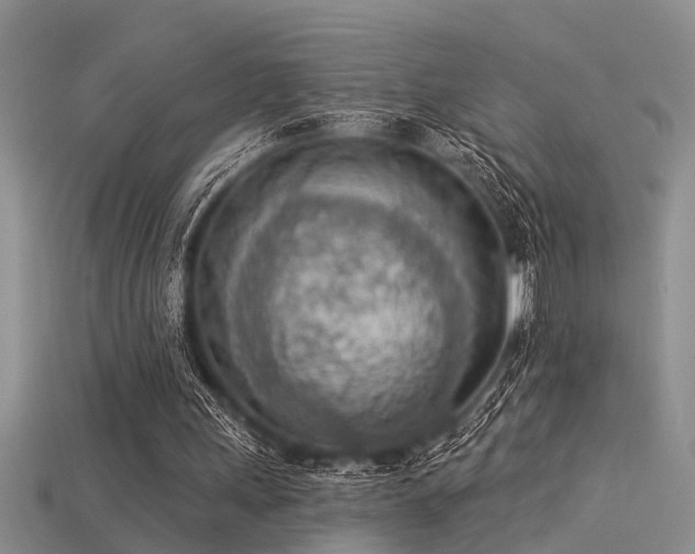 X0000115850243200911131557